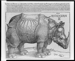 The Library of Congress on Flickr